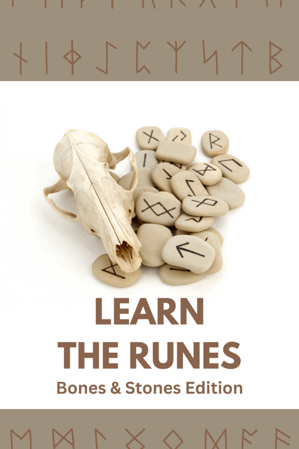 Bones & Stones Edition