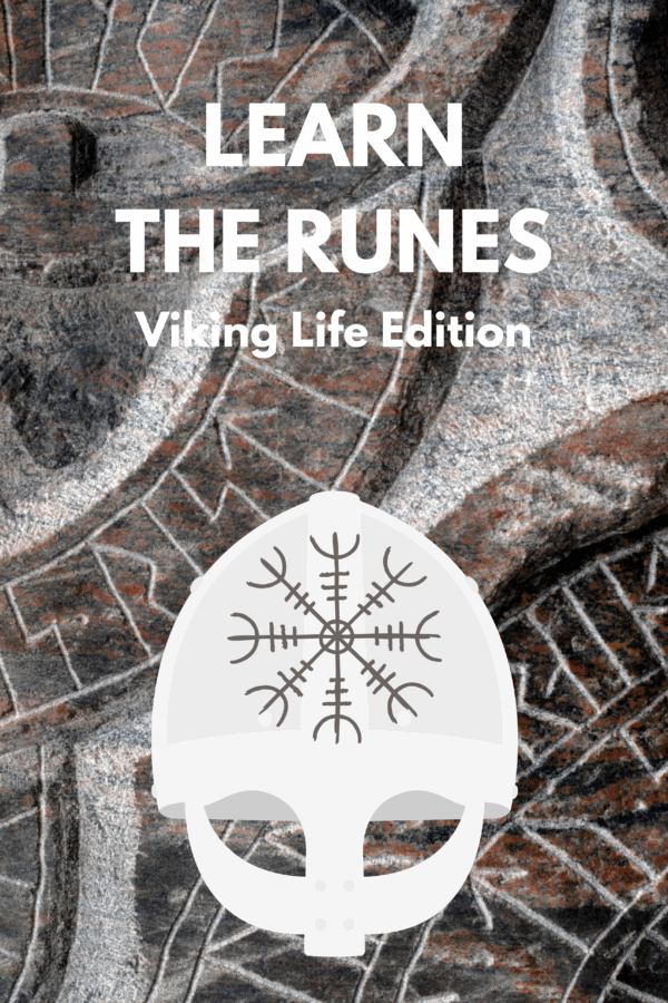 Viking Life Edition